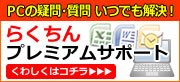 �炭����v���~�A���T�|�[�g