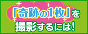 �u��Ղ�1���v���B�e����Ȃ�