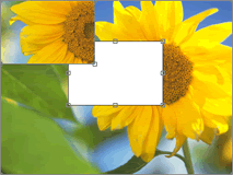 menu02-10.png