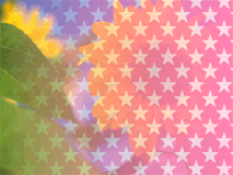 menu05-01d.png