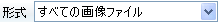 形式