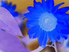 effect01-01.png