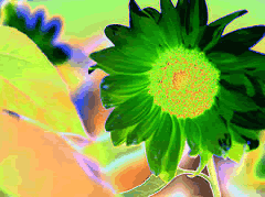 effect01-05.png