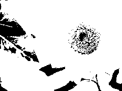 effect02-04.png