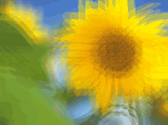 effect02-32.png