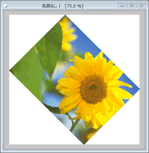 section02-04.png