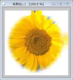 option02.png