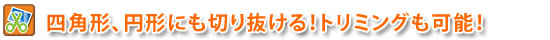 四角形、円形の切り抜きにも対応