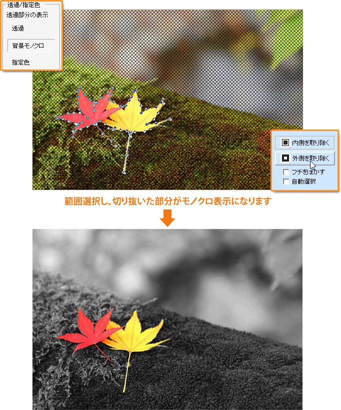 切り抜いた背景をモノクロに!部分カラー写真加工