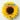 Mcd602_02_01