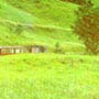 Drph051
