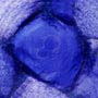 Ctph005