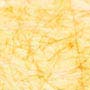 Ctph060