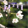 Mcd736_02_01