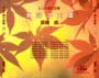 Mcd737_02_02