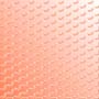 Dske050