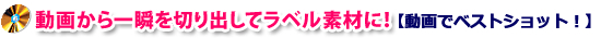 動画でベストショット！