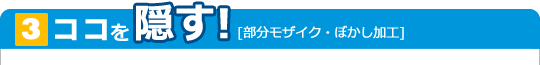 [3]ココを隠す！[部分モザイク・ぼかし加工]