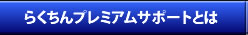 らくちんプレミアムサポートとは