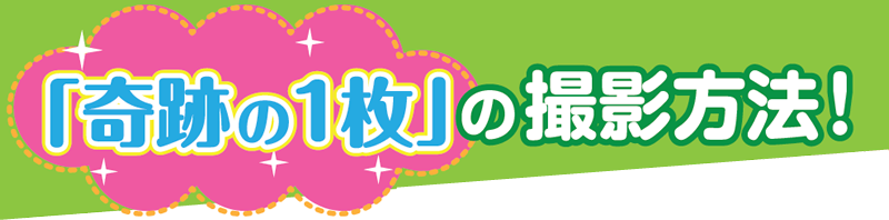 「奇跡の1枚」の撮影方法